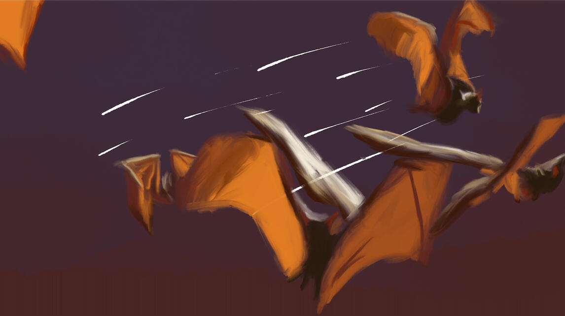 Still from film "Night-Riders"